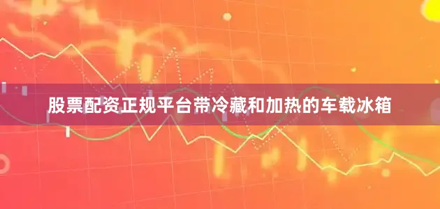 股票配资正规平台带冷藏和加热的车载冰箱