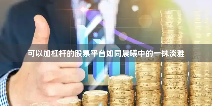 可以加杠杆的股票平台如同晨曦中的一抹淡雅