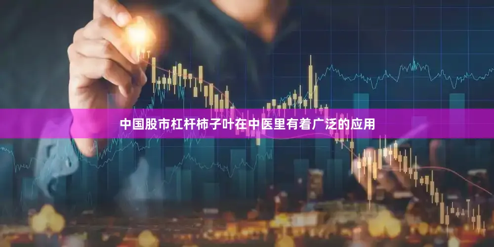 中国股市杠杆柿子叶在中医里有着广泛的应用